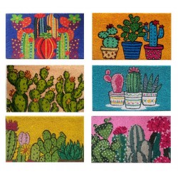 ZERBINO COCCO CACTUS COLOUR...